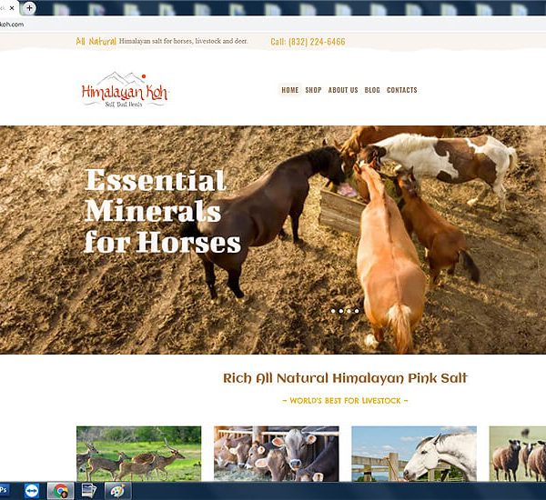 web-design-himalayan-salt