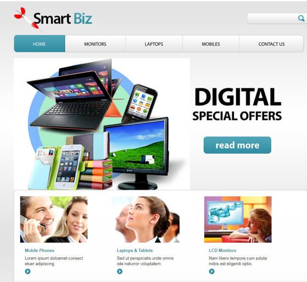 Smart Biz Web Design